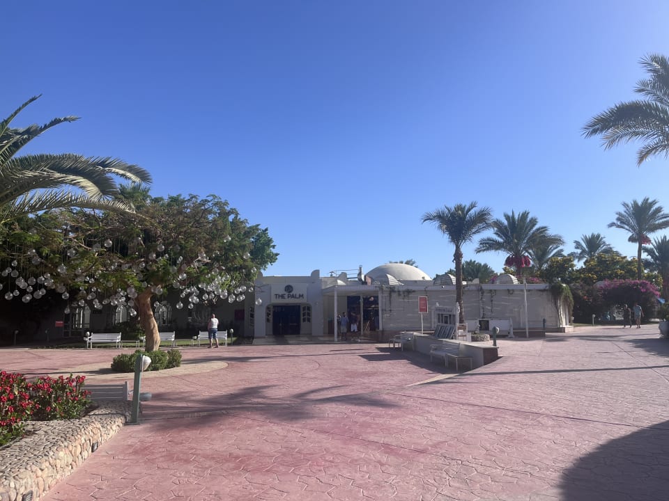 Gartenanlage Desert Rose