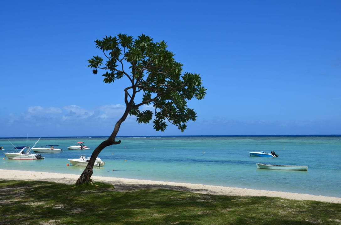 Pubblic beach mit reservierten Liegen (gratis) Villa Seewoo