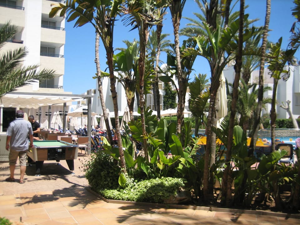 Bar,außen,Billard,Garten Hipotels Bahia Grande