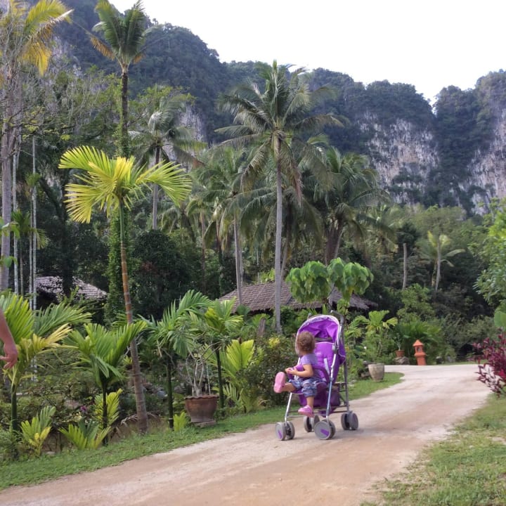 Территория Ban Sainai Resort