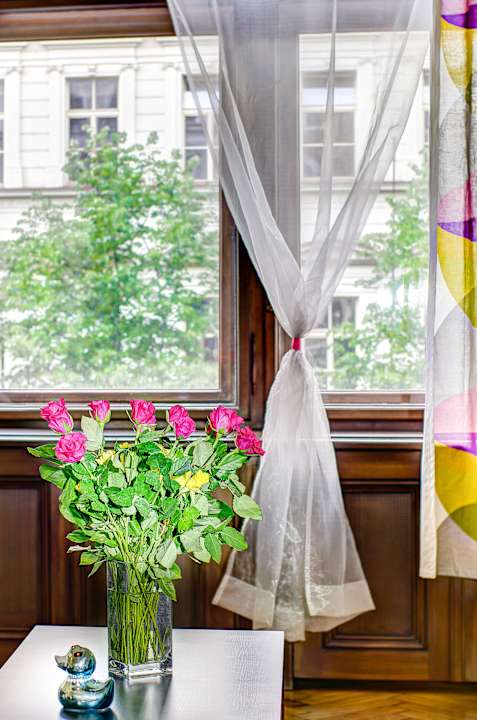 Executive One Bedroom Apartment The Art House