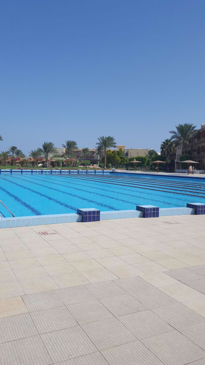 50m Becken Desert Rose