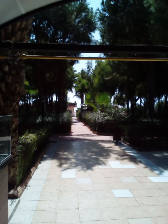 Gartenanlage Club Turtas Beach Hotel