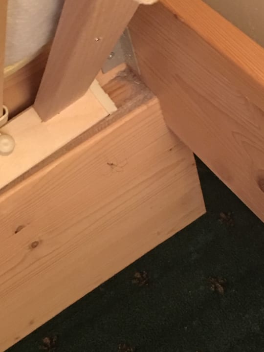 Zimmer Pension Jakl-Hof