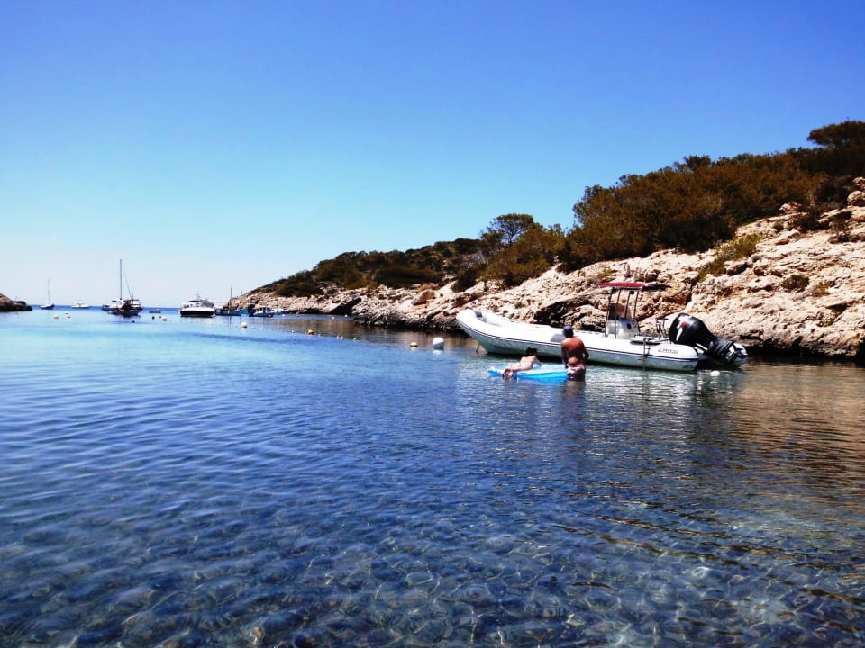 Klares Wasser, aber Algenteppich Barceló Portinatx - Adults only