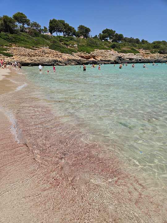 Strand blau punta reina