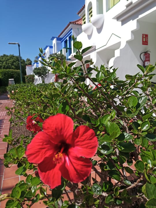 Ausblick Bungalows Vistaflor