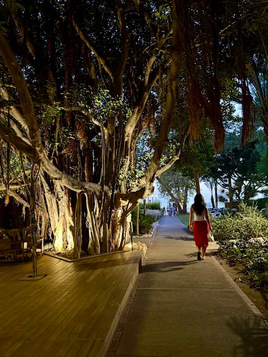 Sonstiges Side Star Elegance