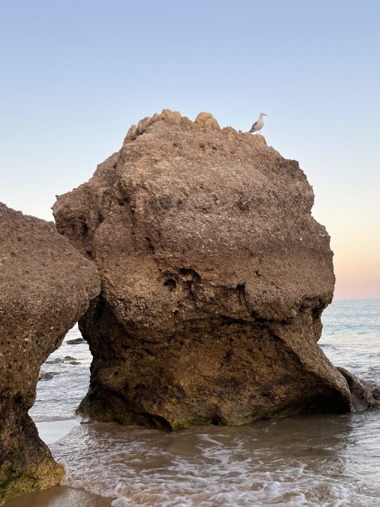 Strand Hotel Jardim do Vau