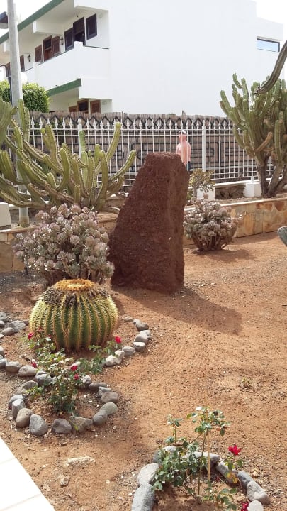 Weg zum Meer allsun Hotel Lucana