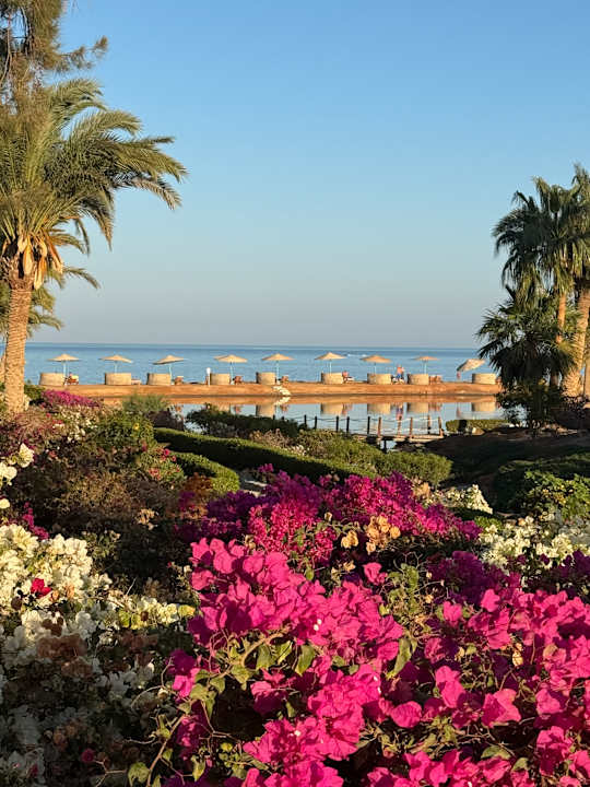 Gartenanlage Mövenpick Resort & Spa El Gouna