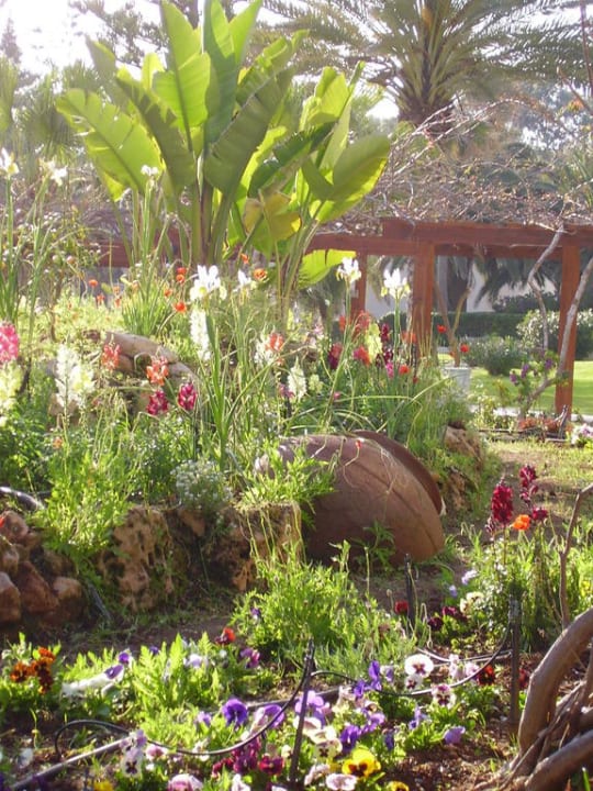 Gartenanlage Hotel Nissi Beach Resort