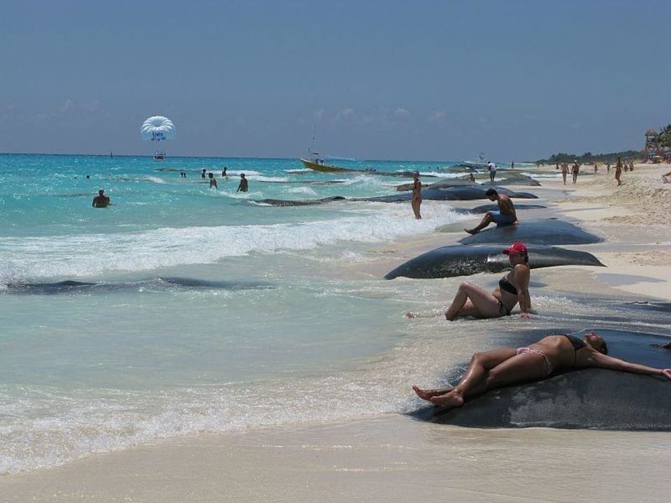 Strand in Richtung der Iberostars Hotel Riu Tequila