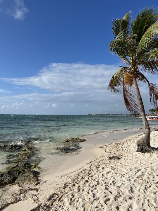 Strand Akumal Bay Beach & Wellness Resort