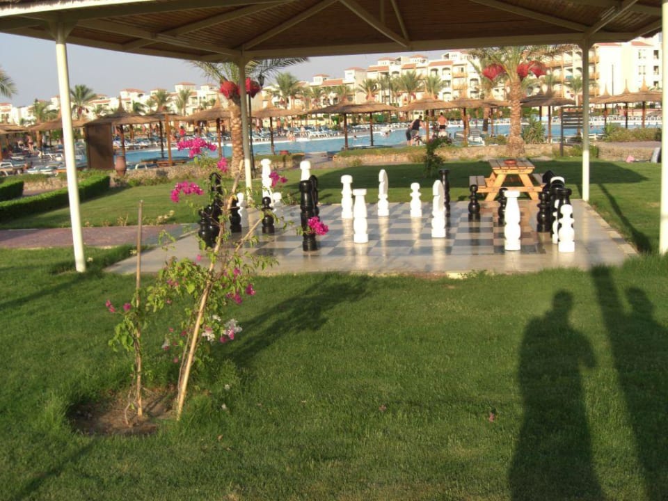 Schachfeld Pickalbatros Dana Beach Resort - Hurghada