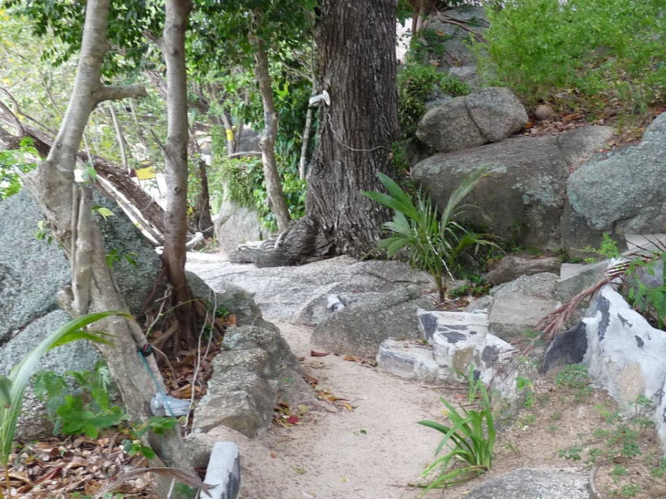 Verbindungsweg vom Santhiya Resort Santhiya Koh Phangan Resort & Spa