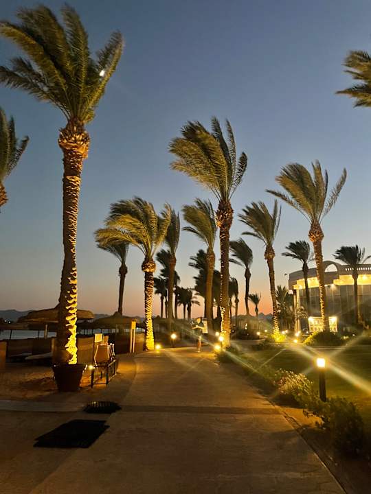 Gartenanlage Palm Royale Resort - Soma Bay