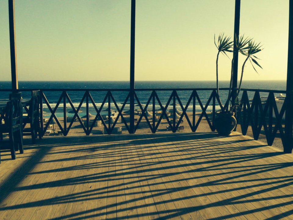 Blick vom Restaurant auf Pool und Meer The Oasis Dive Resort