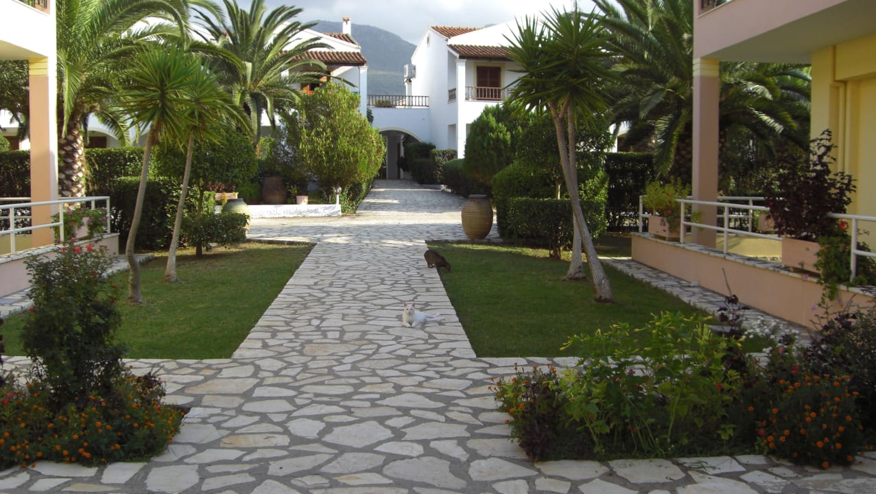 Zwischen den Arpartments Acharavi Beach Hotel