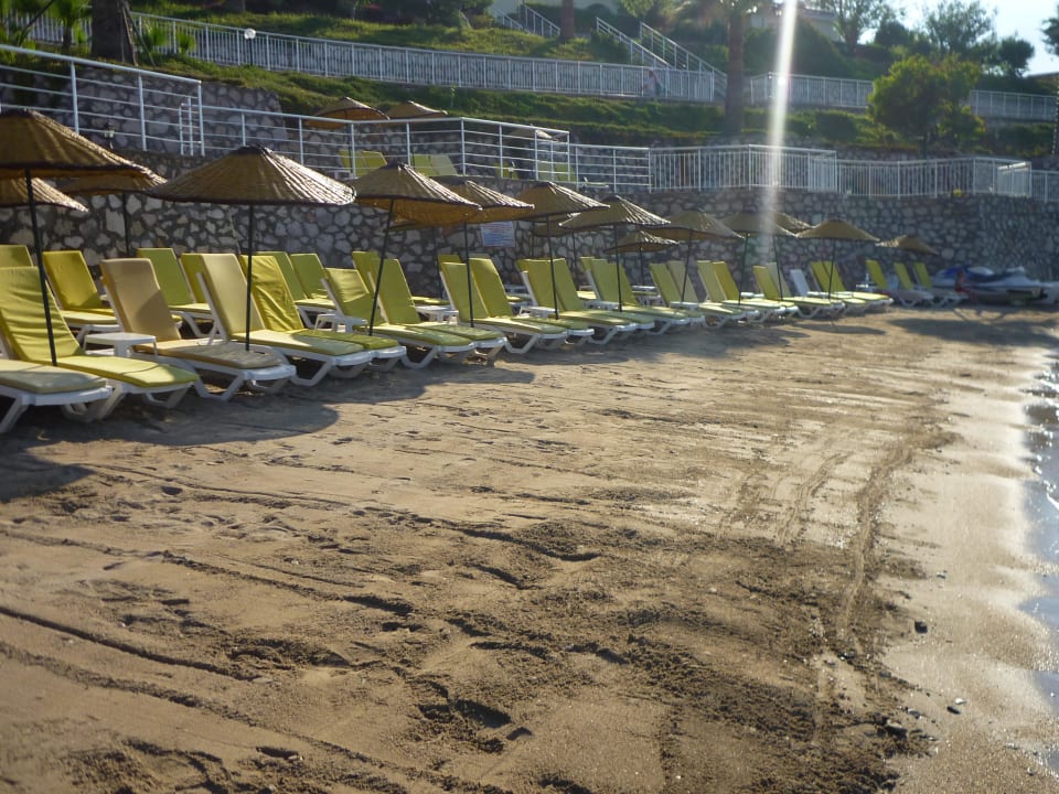 Hotel Palm Wings Beach Resort Anadolu Hotels Didim Club
