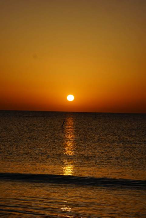 Ausblick Shams Alam Beach Resort