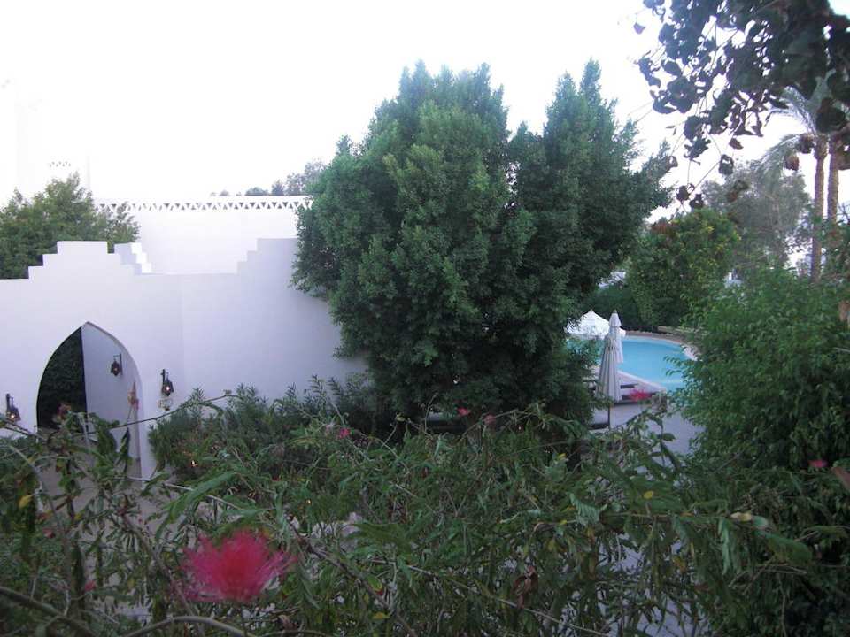 Ausblick vom Balkon Ghazala Gardens