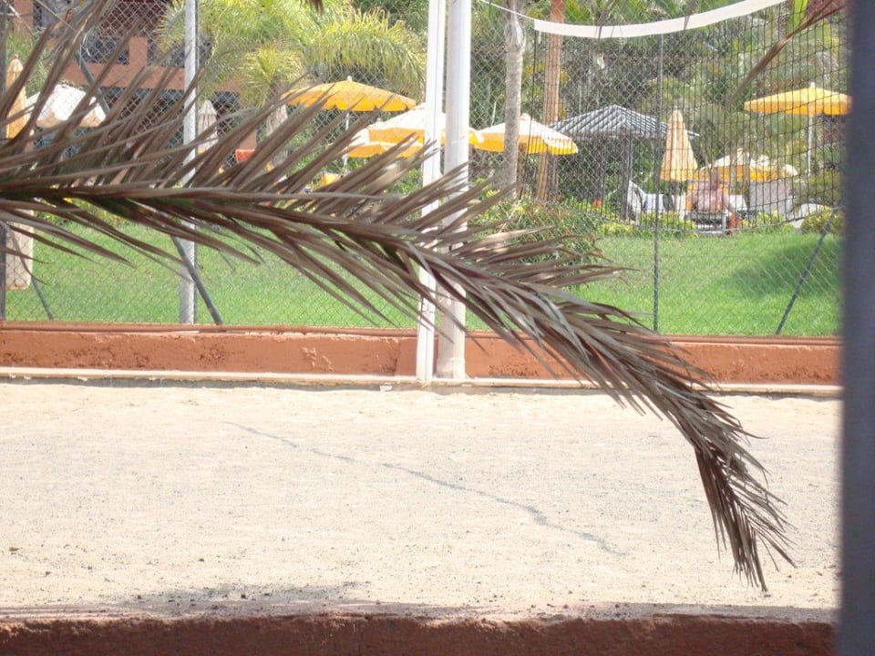 Volleyballfeld! H10 Costa Adeje Palace