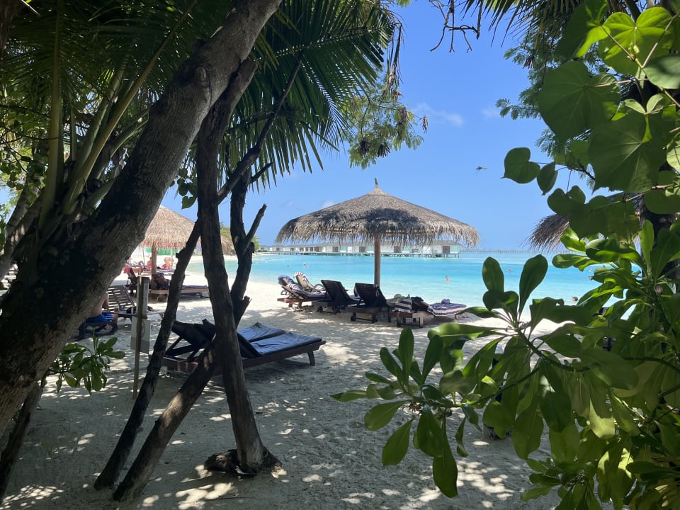 Strand Cinnamon Dhonveli Maldives