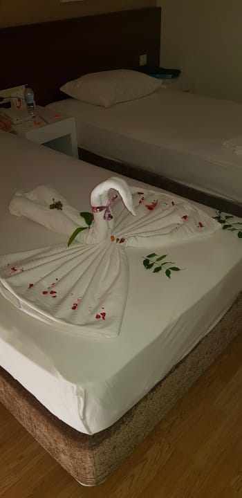 Zimmer Seaden Sea World Resort & Spa