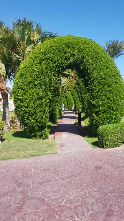 Gartenanlage Cleopatra Luxury Resort Makadi Bay