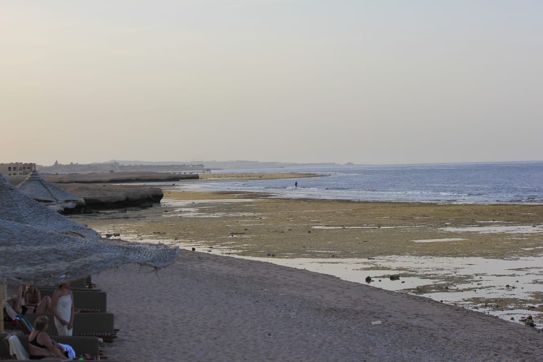 Strand Serenity Alpha Beach