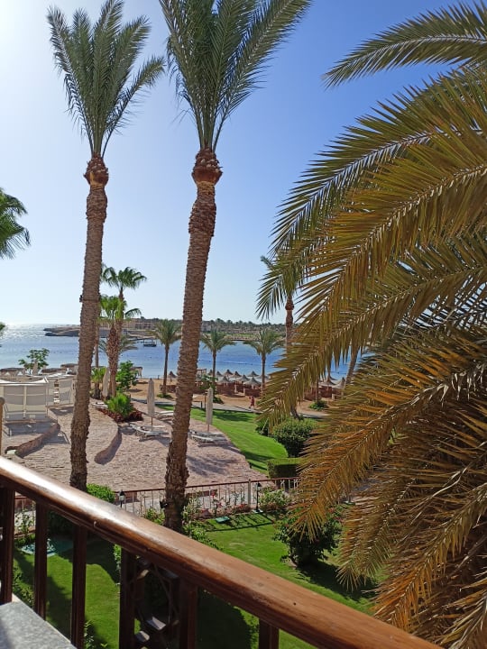 Strand Steigenberger Coraya Beach - Adults only