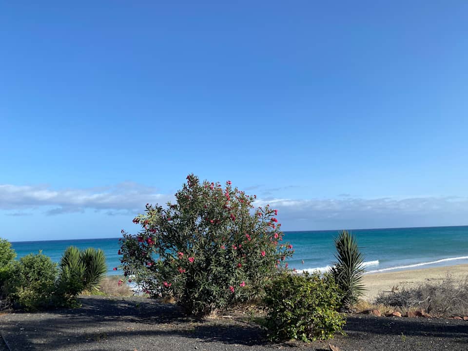 Außenansicht SBH Hotel Taro Beach