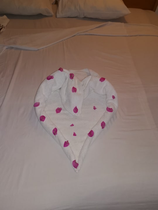 Zimmer Menaville Safaga