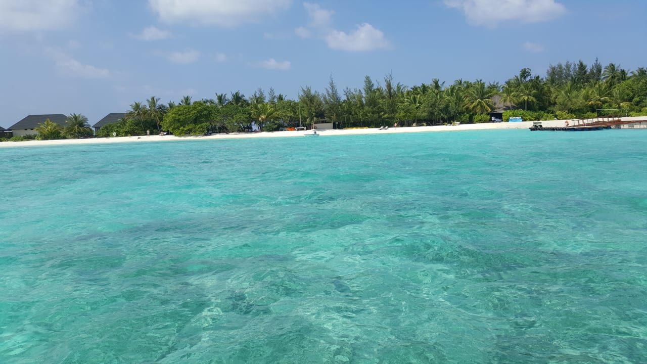 Strand Summer Island Maldives