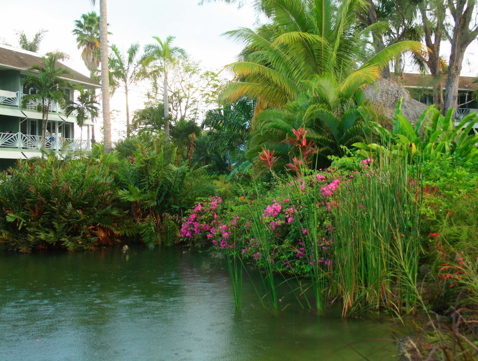 Teich mit Wohngebäude Couples Negril - Adults only