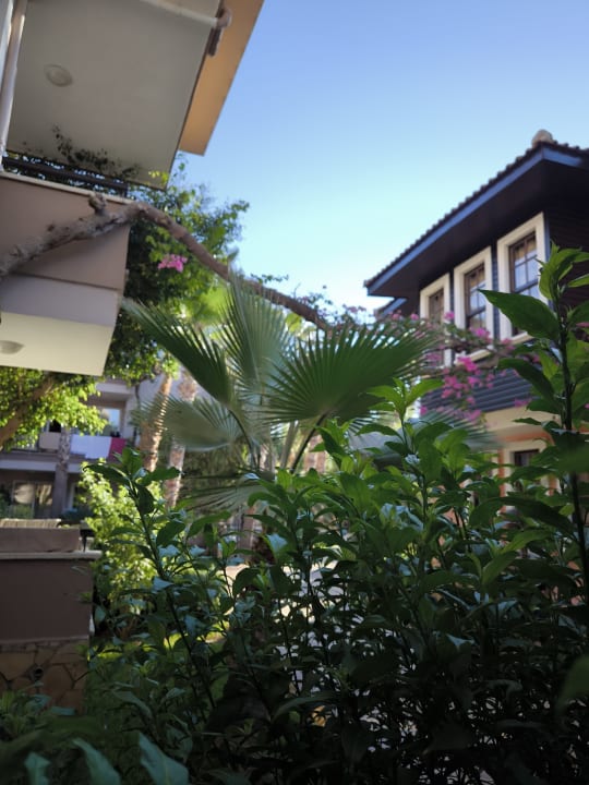 Gartenanlage Club Dizalya