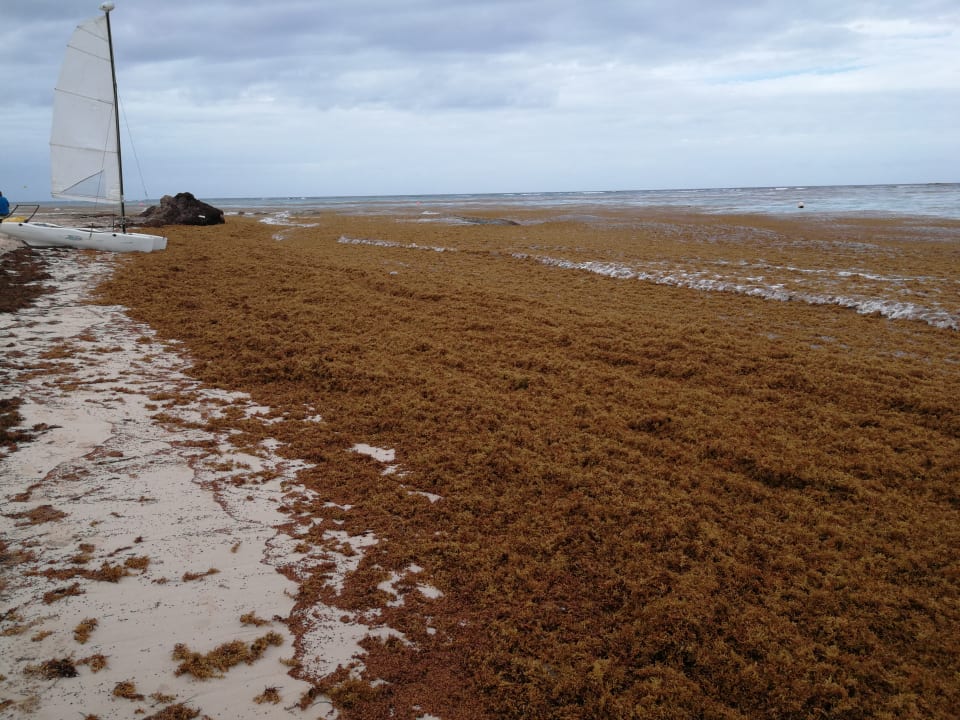 Strand Ocean Blue & Sand