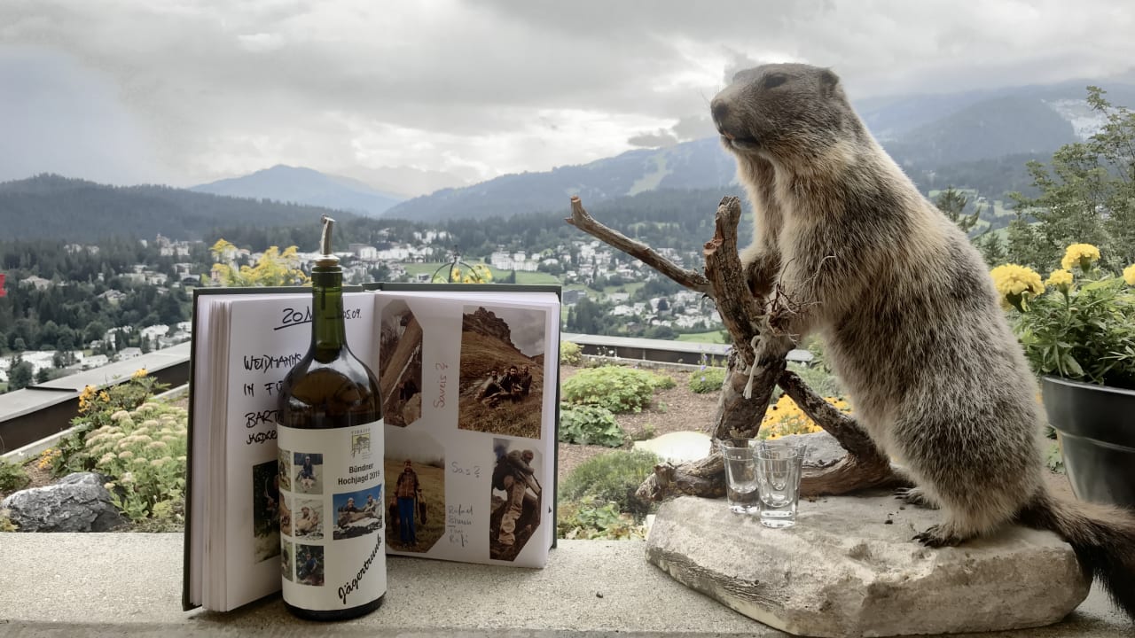 Ausblick Hotel Fidazerhof