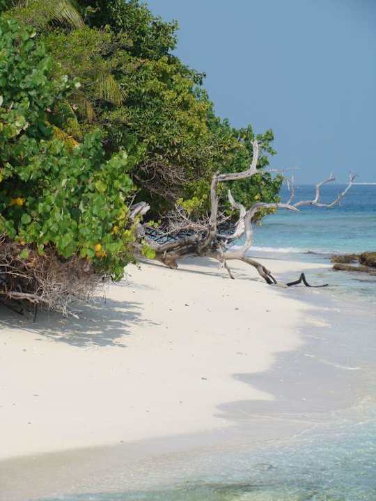 eine kleine Strand Biyadhoo Island Resort