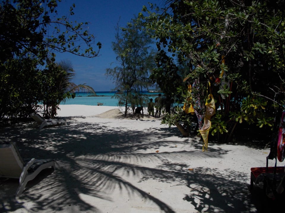 Blick zum Oststrand Summer Island Maldives