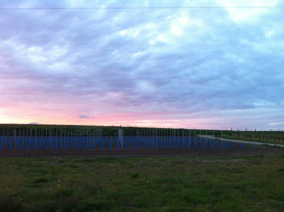 Weinberge Landhaus Schill