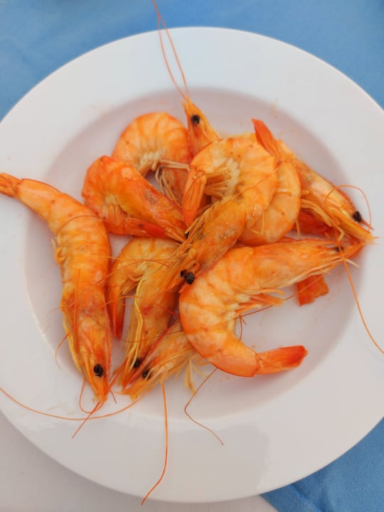 Gastro Arabia Azur Resort