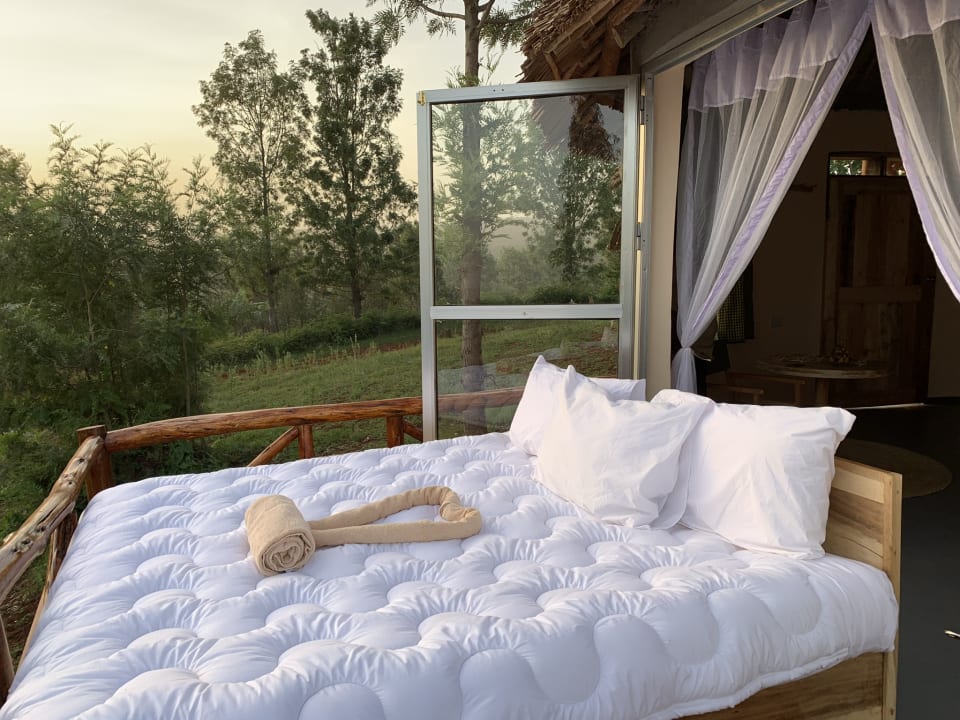Zimmer Foresight Eco Lodge & Safari
