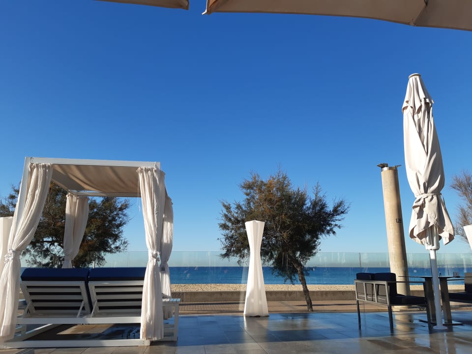 Gartenanlage Aparthotel Fontanellas Playa