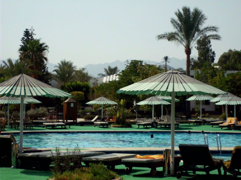 Pool Ghazala Beach