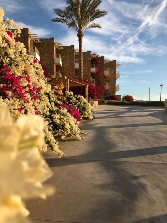 Gartenanlage Brayka Bay Resort