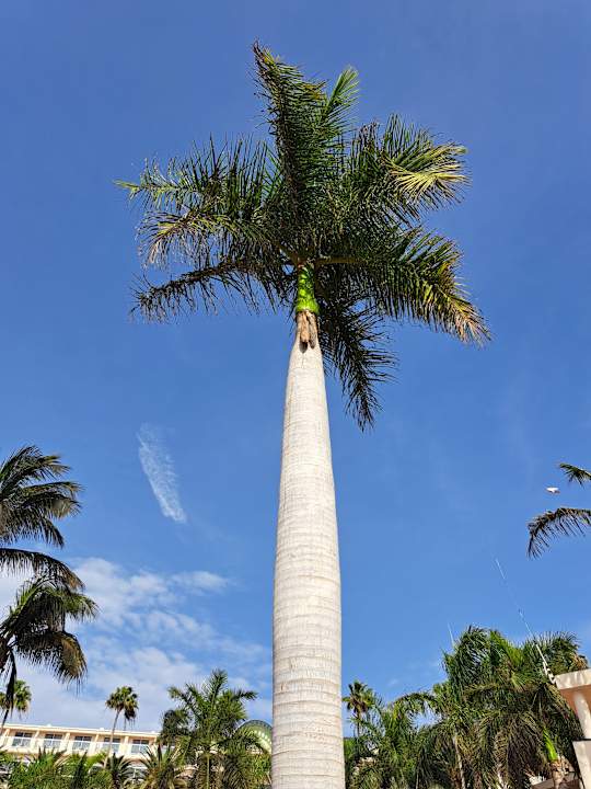 Pool Club Hotel Drago Park