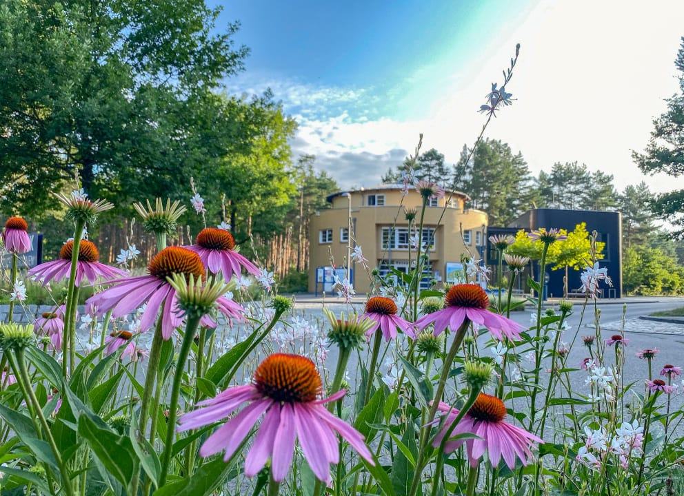 Außenansicht Familienpark Senftenberger See