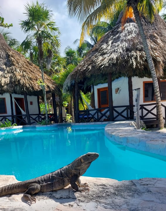 Pool Hotel Xaloc Resort